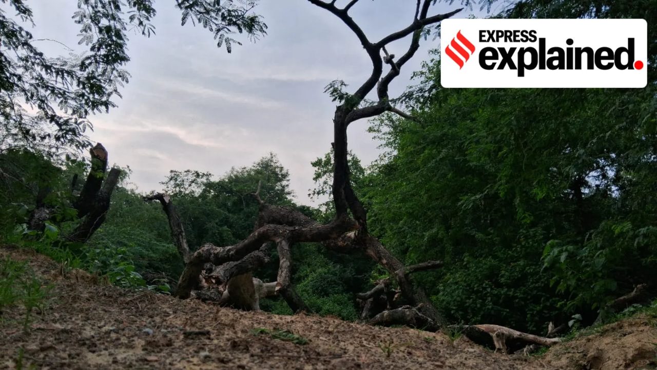 Kukrail Night Safari Project and Its Environmental Implications