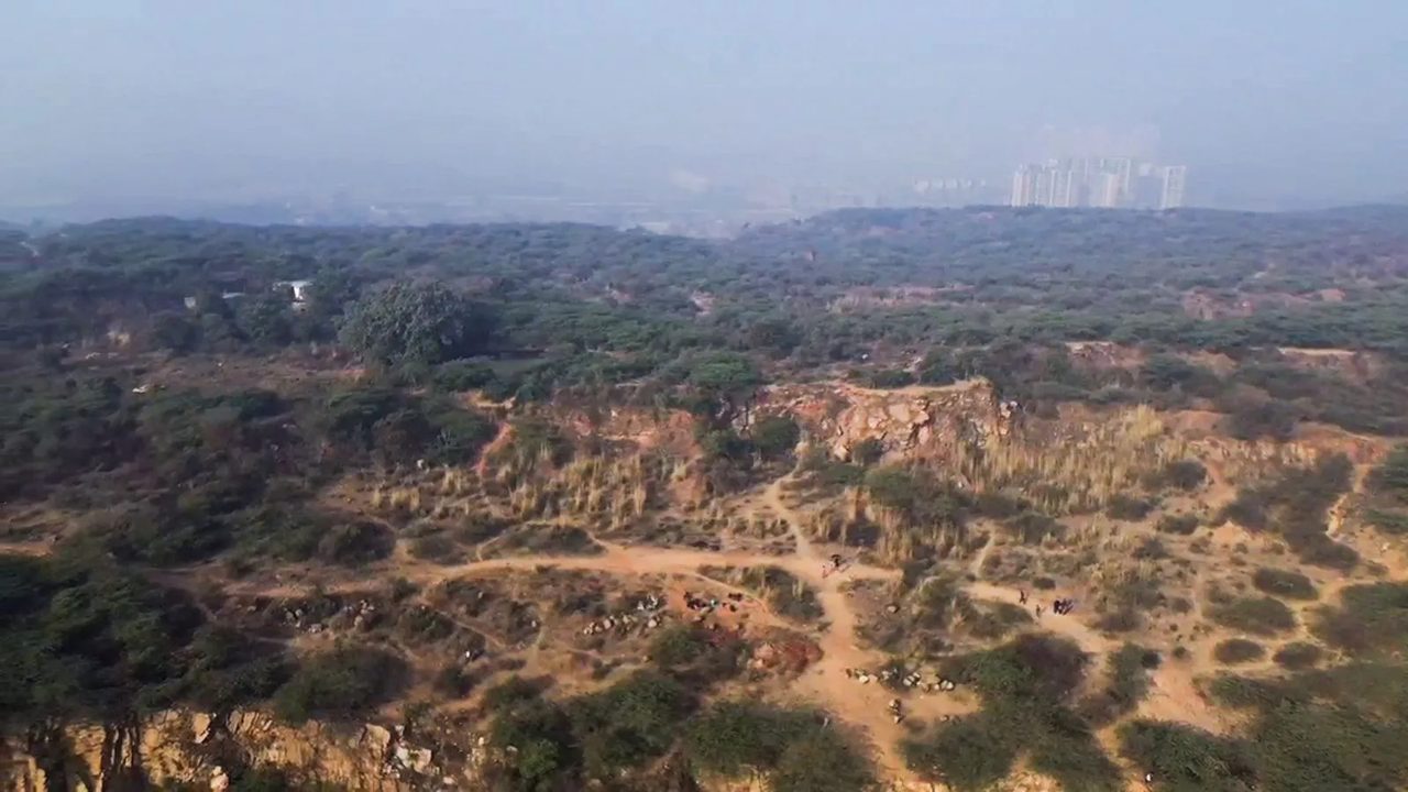 Ecosystem Management and Biodiversity Conservation in the Aravalli Region
